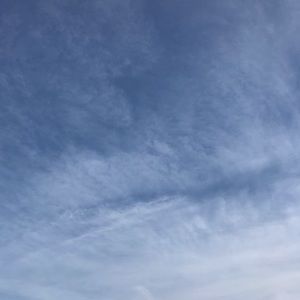 Meet your Posher, Jackson